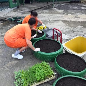 Mutirão no combate à dengue no Sistema Prisional e Socioeducativo