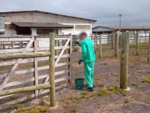 Termos de cooperação com municípios abrem mais 110 novas vagas de atividade laboral no sistema prisional de Santa Catarina